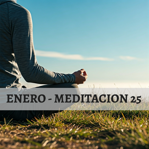 Sistema Endocrino – “Respirar, cultivar, integrar”