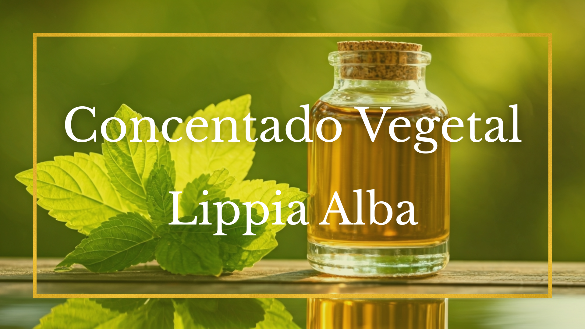 Protegido: Concentrado Vegetal Lippia Alba