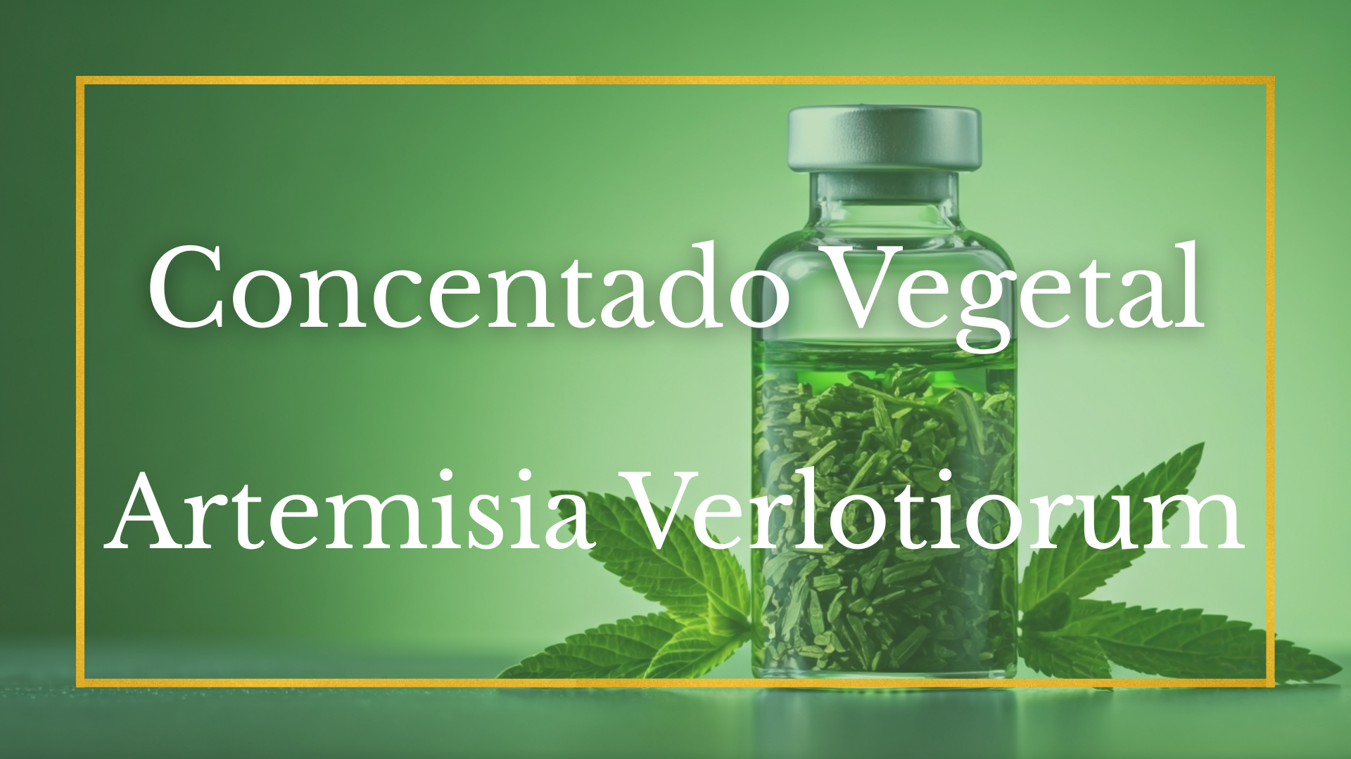 Protegido: Concentrado Vegetal Artemisia Verlotiorum