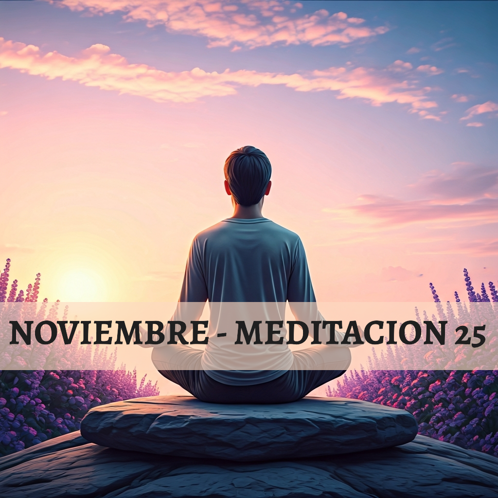 Sistema Circulatorio – “Descubrir, fortalecer”