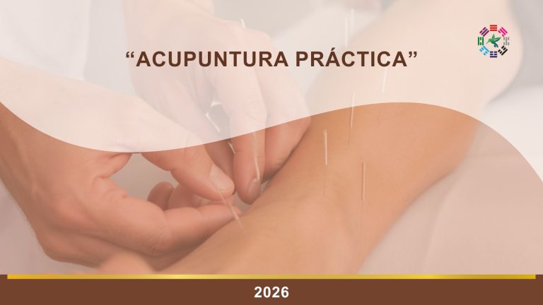 Acupuntura Práctica